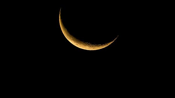 The lunar crescent visibility of the Rajab 1446 Hijri