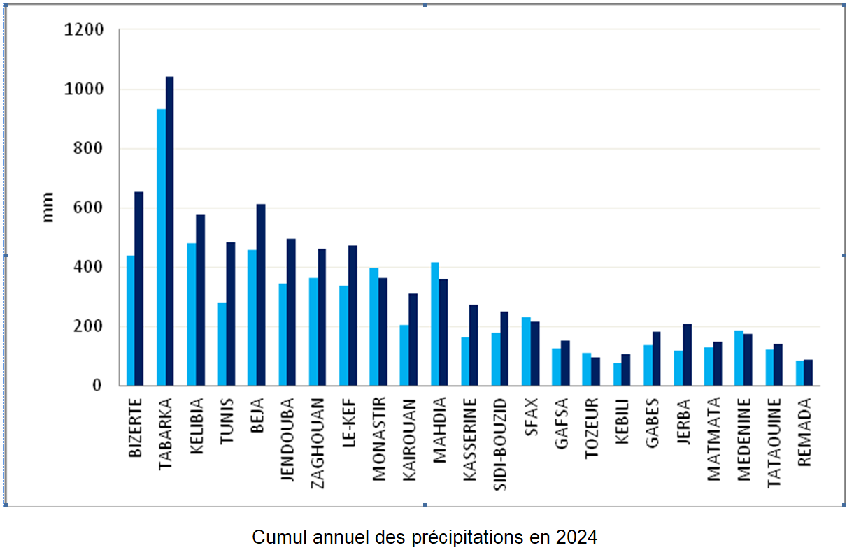 Cumul annuel des précipitations en 2024 