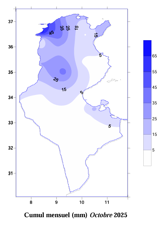 Cumul mensuel (mm) Octobre 2025