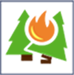 Feu de forêt