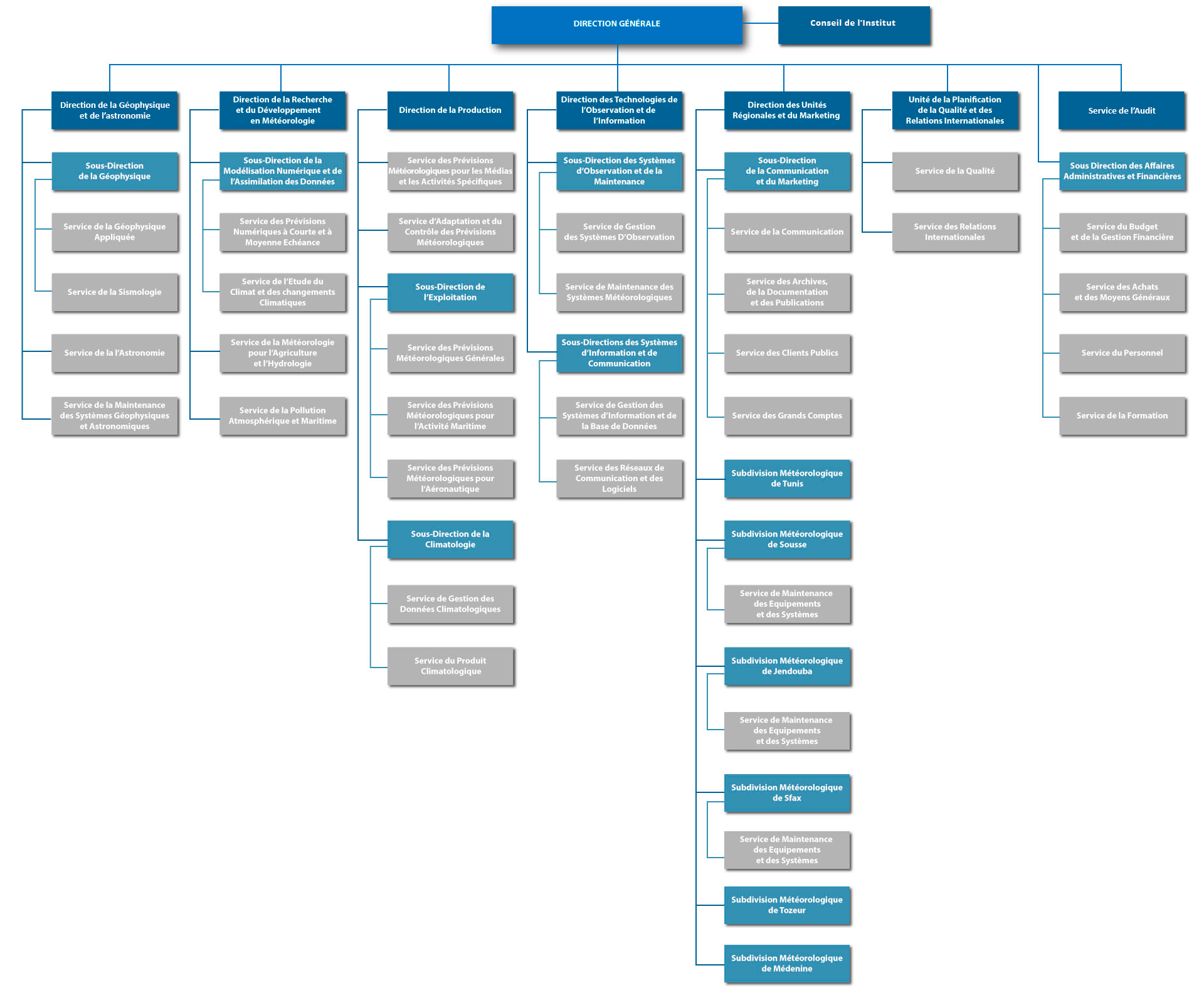 Organigramme