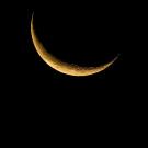 The lunar crescent visibility of the Rajab 1446 Hijri 
